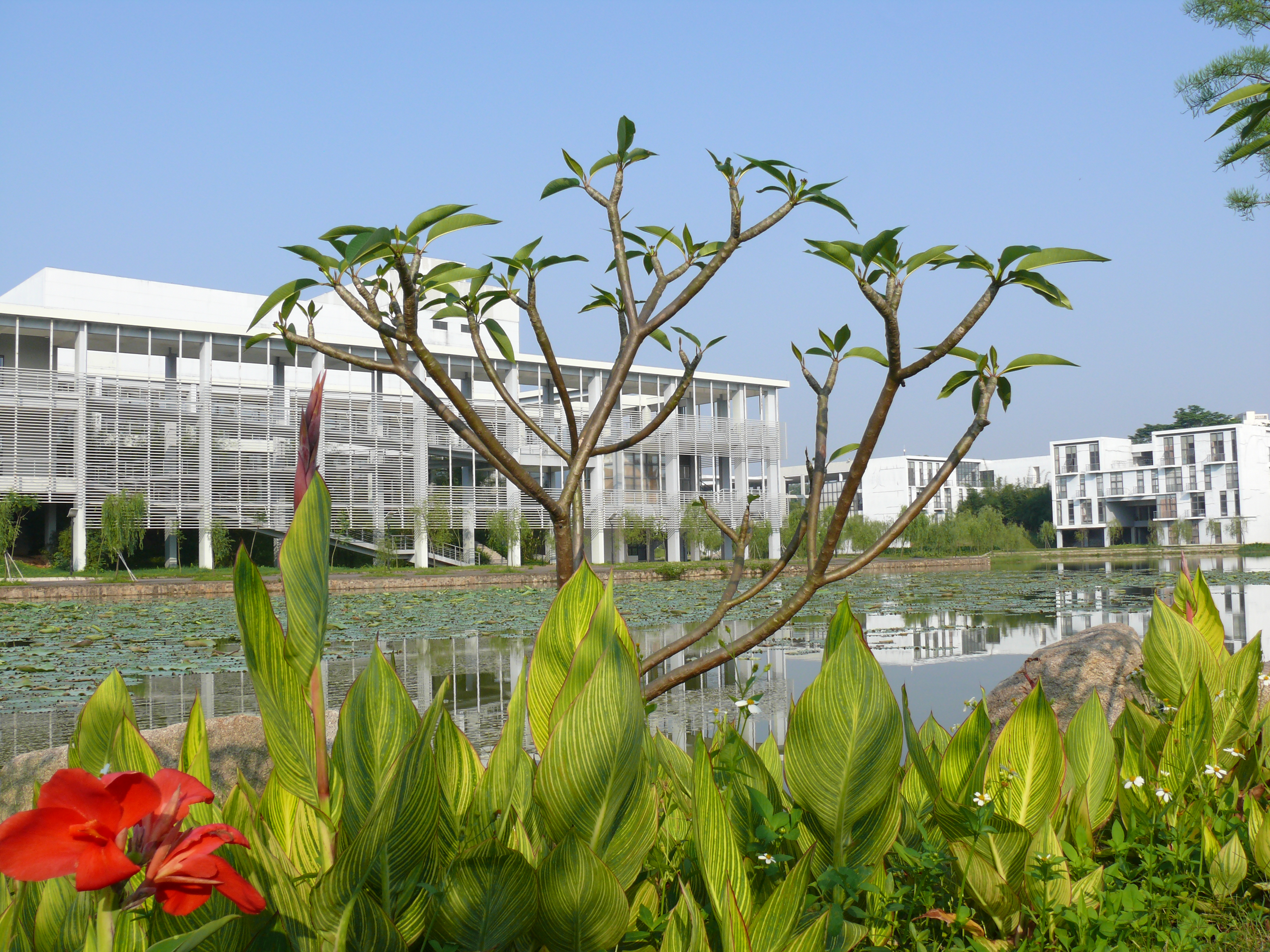 松山湖校区风景-东莞理工学院校友会