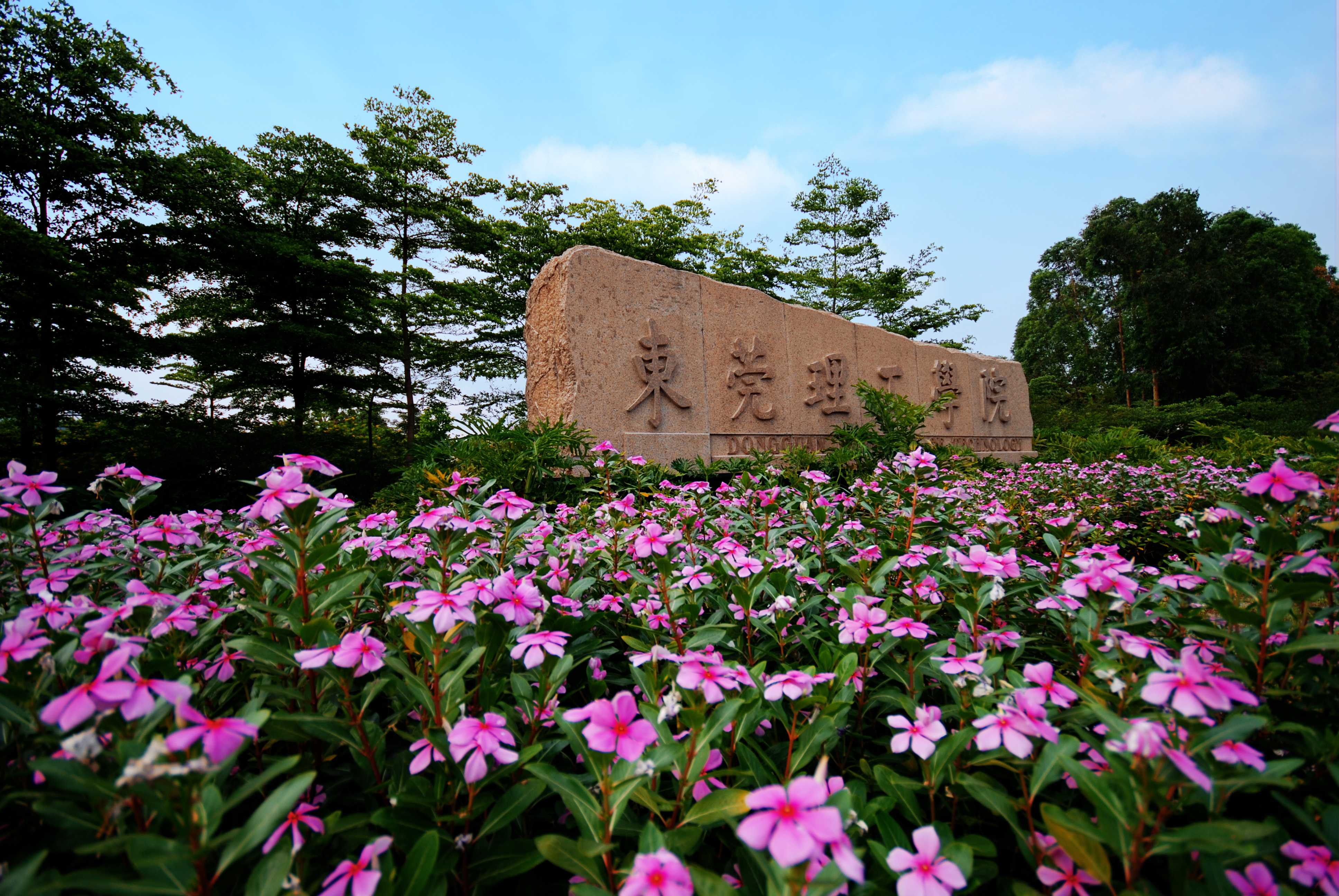 东莞理工松山湖校区图片